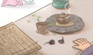 天庭饱满地阁方圆 天庭饱满地阁方圆